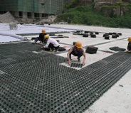 蓄排水板施工現場