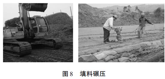 土工格柵